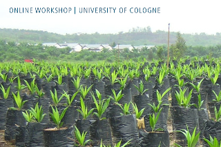Online Workshop Alternative Palm Oil Futures
