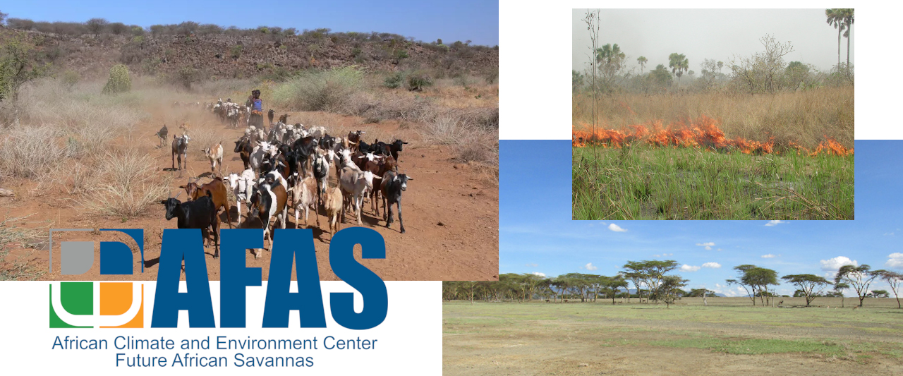 African Climate and Environment Center - Future African Savannas (AFAS)