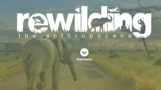 Rewilding the Anthropocene
